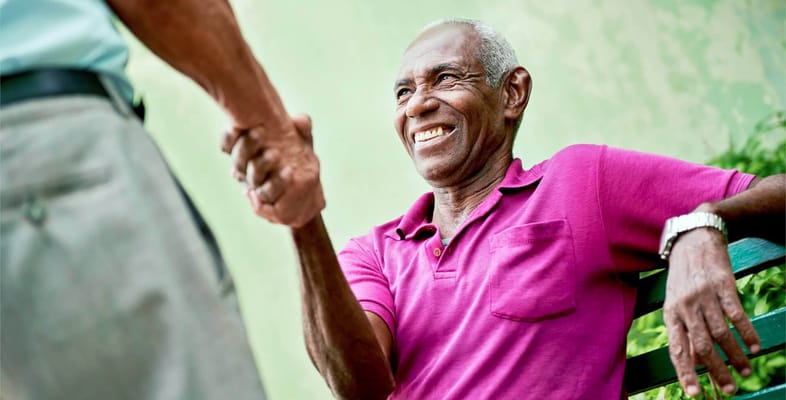 Majestic Visions Alliances