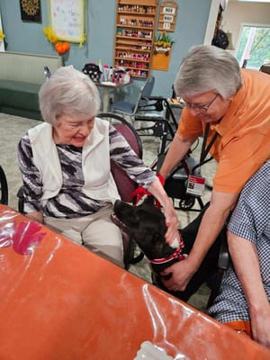 Residents interacting with a therapy dog in a common area