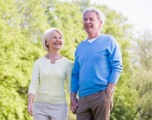 The Gardens at Southern Manor