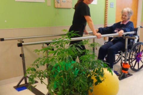 Resident engaging in physical therapy with staff assistance
