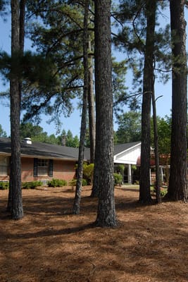 Exterior view of a nursing home surrounded by trees