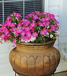 Kimberly Personal Care Home