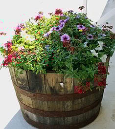 Kimberly Personal Care Home