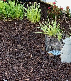 Kimberly Personal Care Home