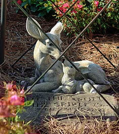 Kimberly Personal Care Home