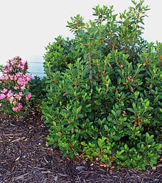 Kimberly Personal Care Home