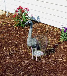 Kimberly Personal Care Home