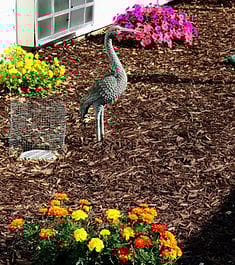 Kimberly Personal Care Home