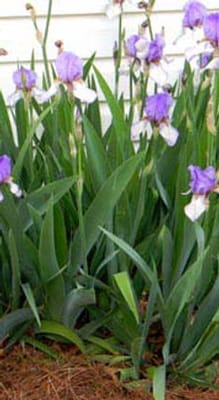 Kimberly Personal Care Home