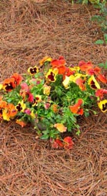 Kimberly Personal Care Home