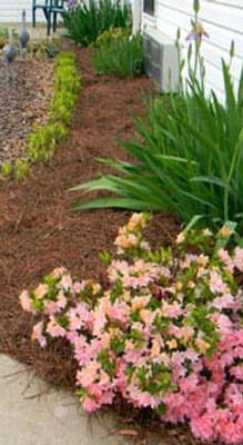 Kimberly Personal Care Home