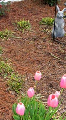 Kimberly Personal Care Home