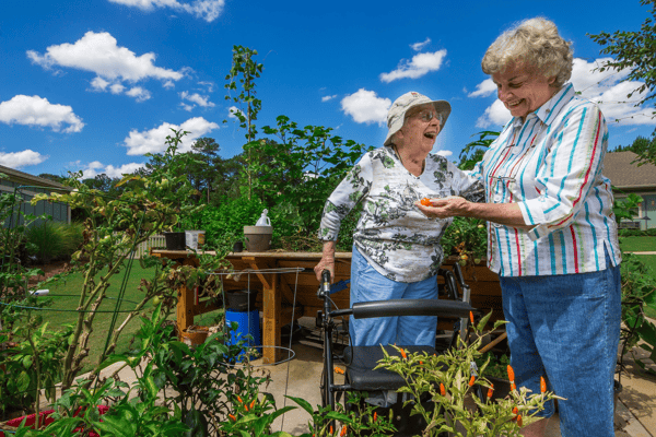 Residents enjoying gardening in an outdoor area