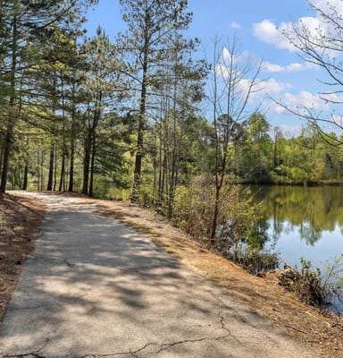 Scenic walking path by a tranquil lake