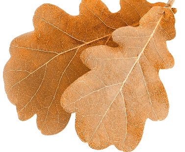 Heritage Oaks Retirement Living