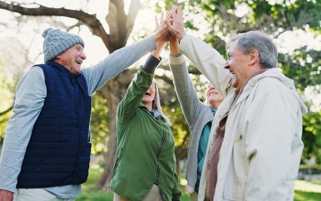 The Landings of Canton Hills