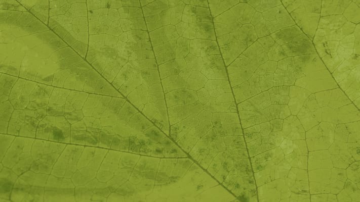 Maple Grove Senior Living