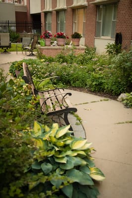 Benches and lush greenery in an outdoor garden area
