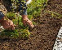 Prairie Creek Assisted Living