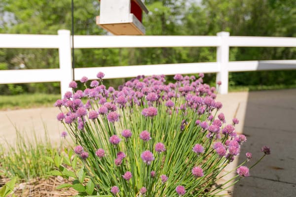 Careage Hills Rehabilitation and Healthcare