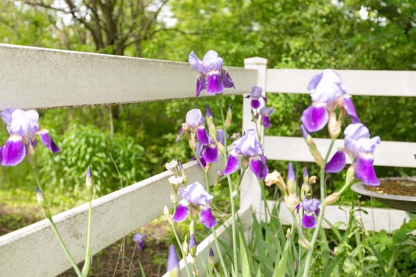 Careage Hills Rehabilitation and Healthcare