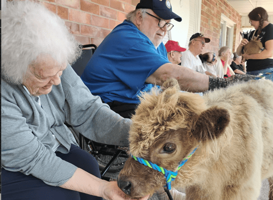Residents interacting with a pet mini horse outside