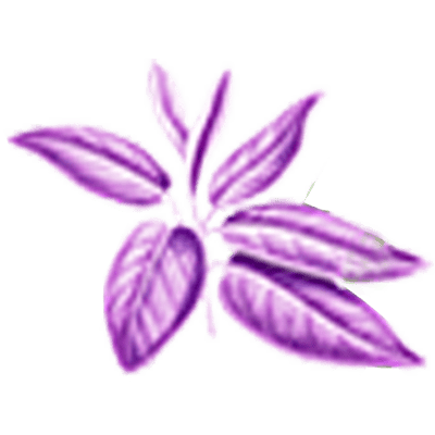 Sage Grove Assisted Living