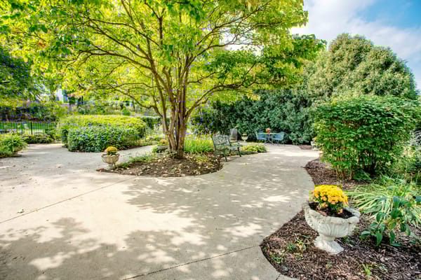 Beautiful outdoor garden space with benches and flowers