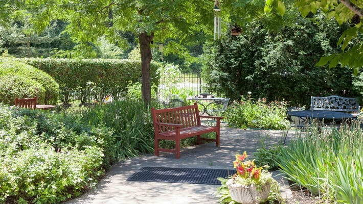 Serene outdoor garden area with benches and greenery