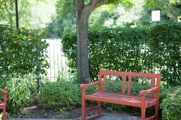 Outdoor bench in a green garden area