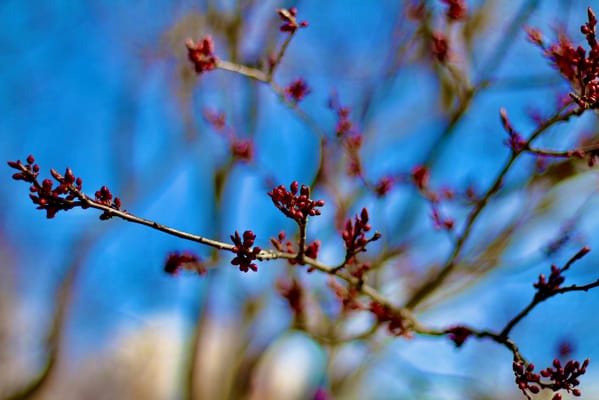 Hearthstone Village, LLC