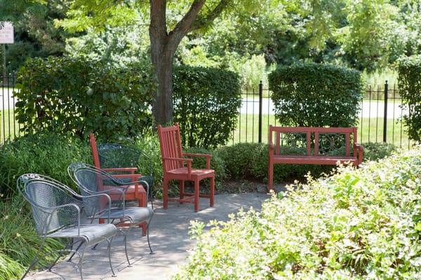 Seating area in a peaceful garden