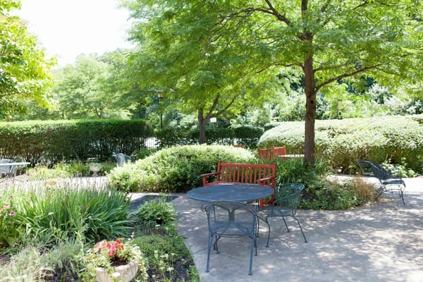 Sunny outdoor patio area with seating and greenery