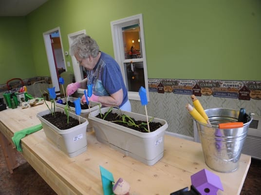 Resident gardening activity in an interior space