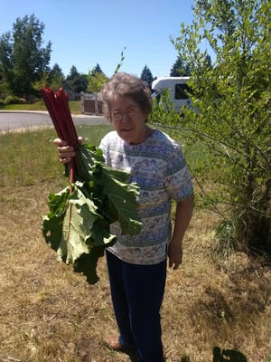 Wellspring Meadows Assisted Living