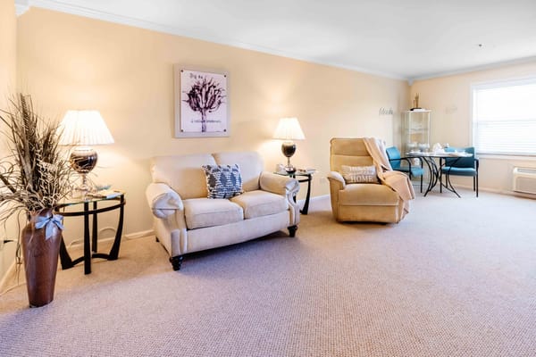 Comfortable living room interior with cozy seating