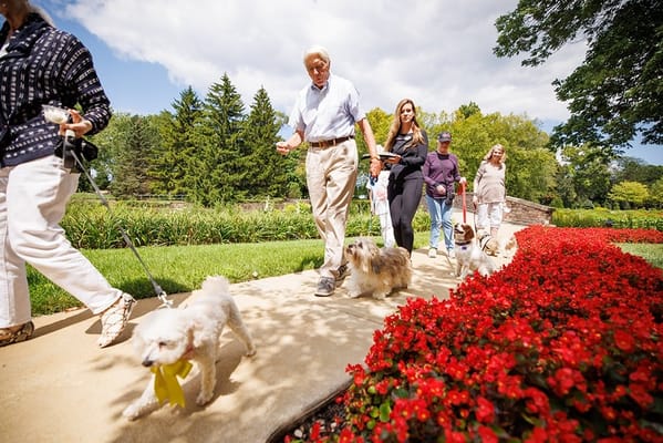 Residents and staff walking dogs along a flower-lined path