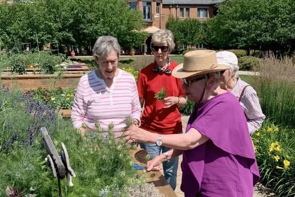 Residents enjoying gardening activities in an outdoor space