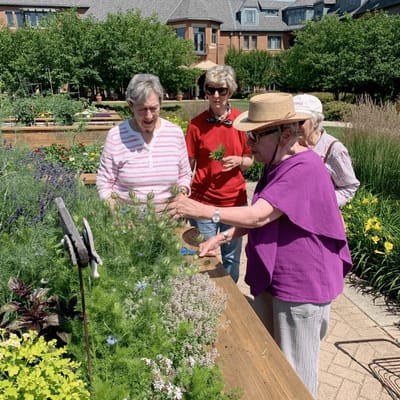 Residents participating in gardening activities