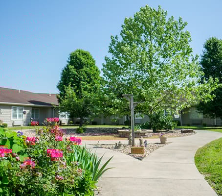 Pathway leading through a landscaped garden