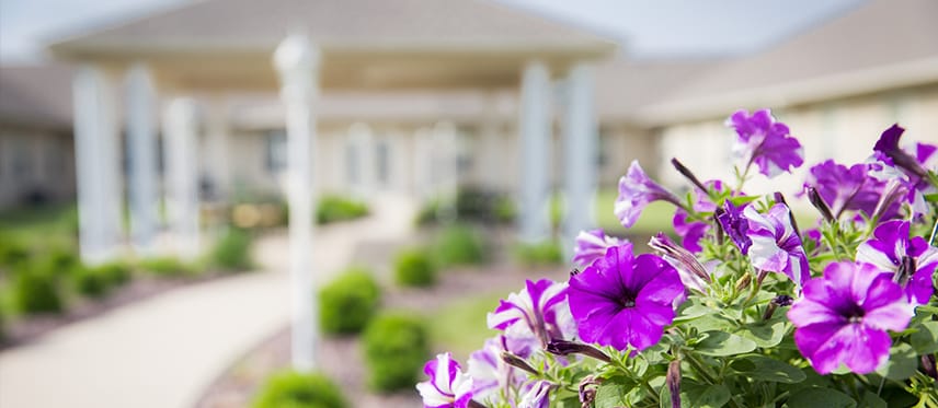 Beautiful flowers in front of Trenton Village