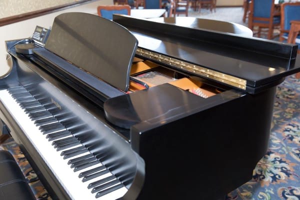 Black grand piano in a serene common area
