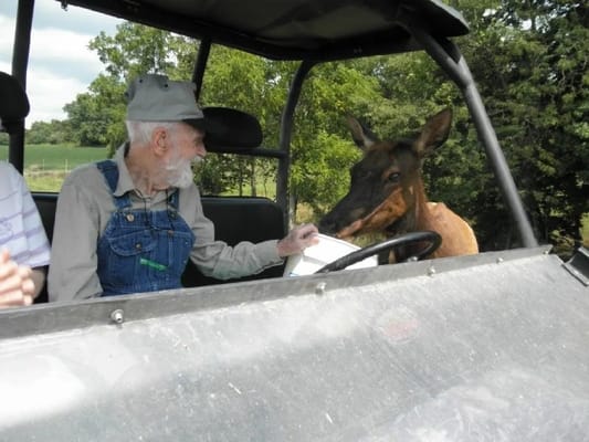 An elderly man interacting with a deer outdoors