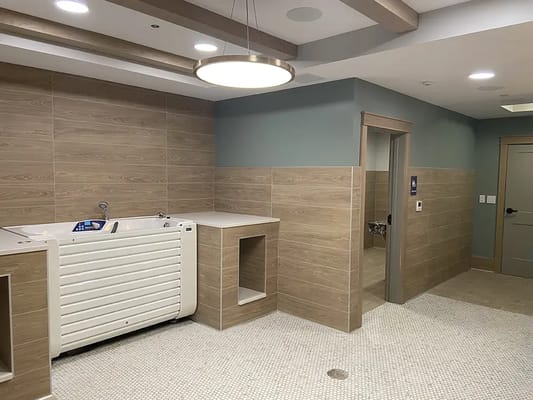 Modern therapeutic bathing area in assisted living facility