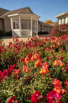 Colorful flowers in front of a gazebo and facility buildings