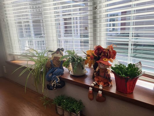 Window sill with plants and decorative items