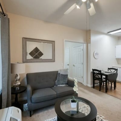 Cozy interior of a resident living area with furniture