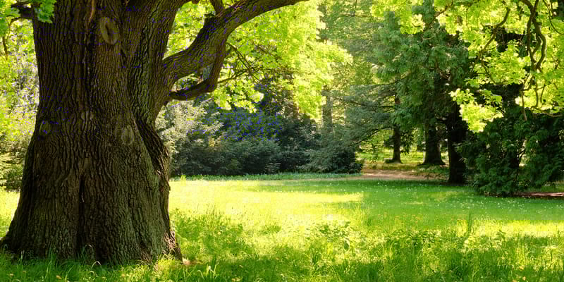 Jewel Place Senior Living