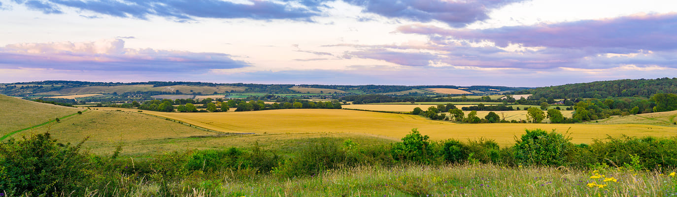 Better Living of Walcott