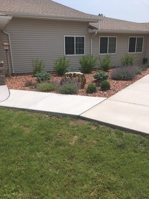 Well-maintained garden and building exterior